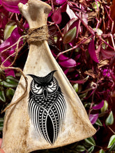 Owl Scapula