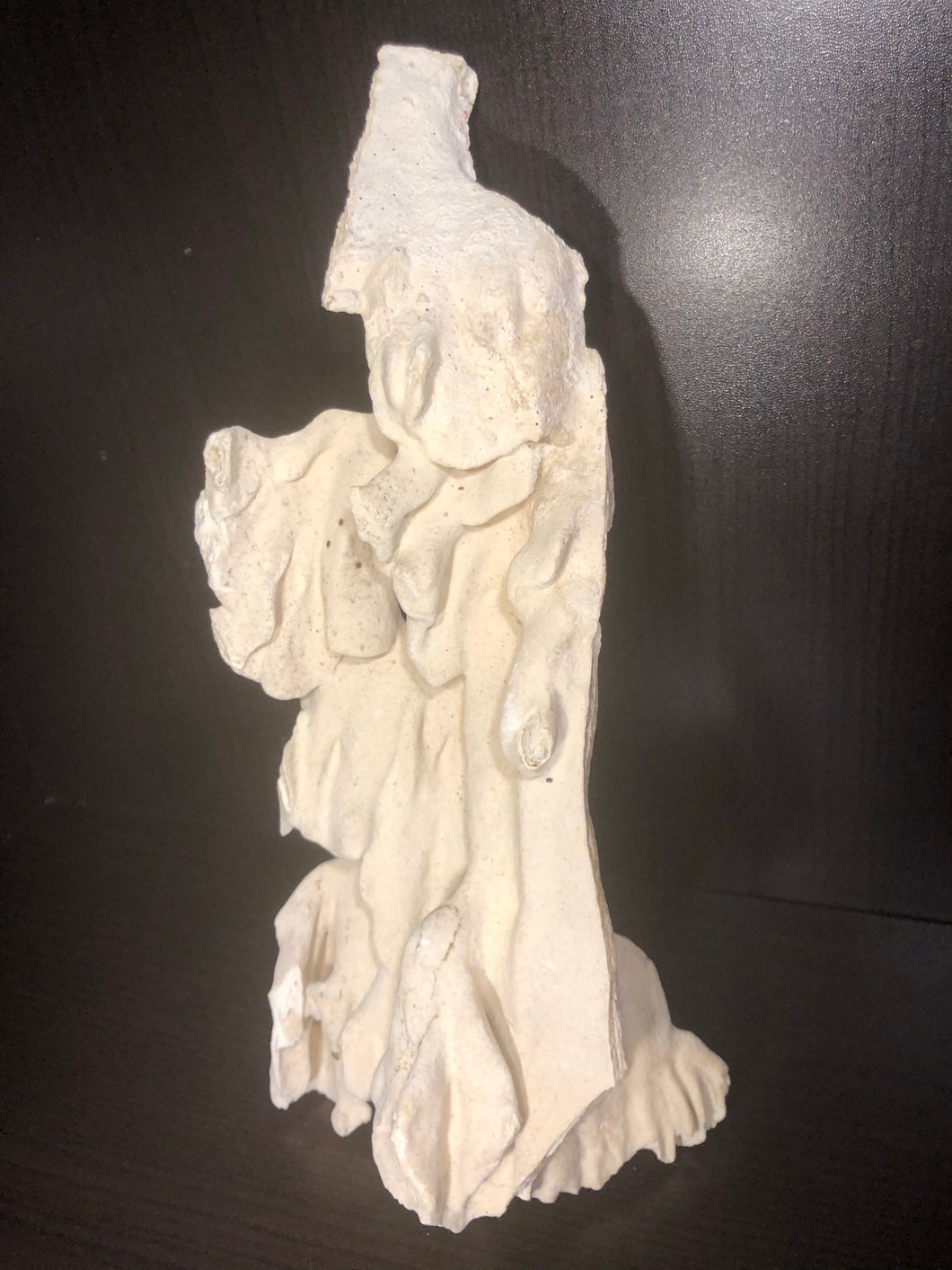Dead Coral