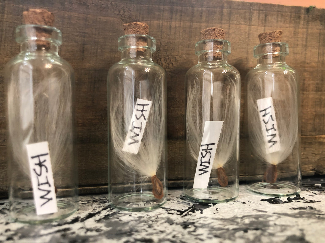 Large Wish Jar