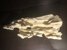 Dead Coral