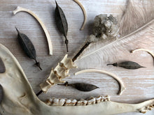 Word of Mouth Wall Hanger